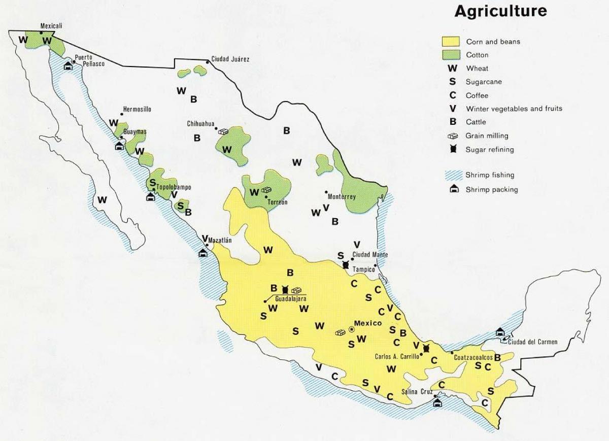 карта на Мексико, за селското стопанство